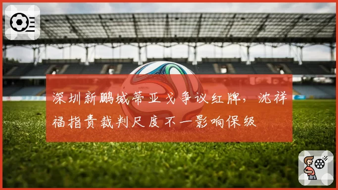 深圳新鹏城蒂亚戈争议红牌,沈祥福指责裁判尺度不一影响保级